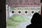 Schießanlage 50 Meter Bild 6